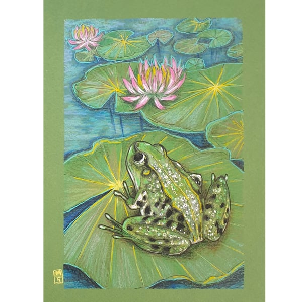 Green Frog on a Lily pad, original drawing, small wall art, frog artwork 