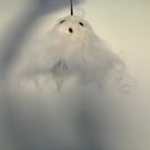 Felted Ghost Hanging Decoration 