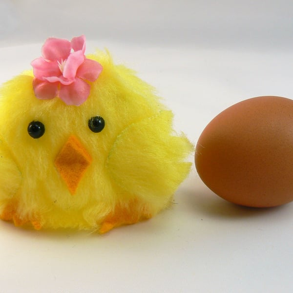 Egg cosy ( Chick)