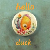 hello duck