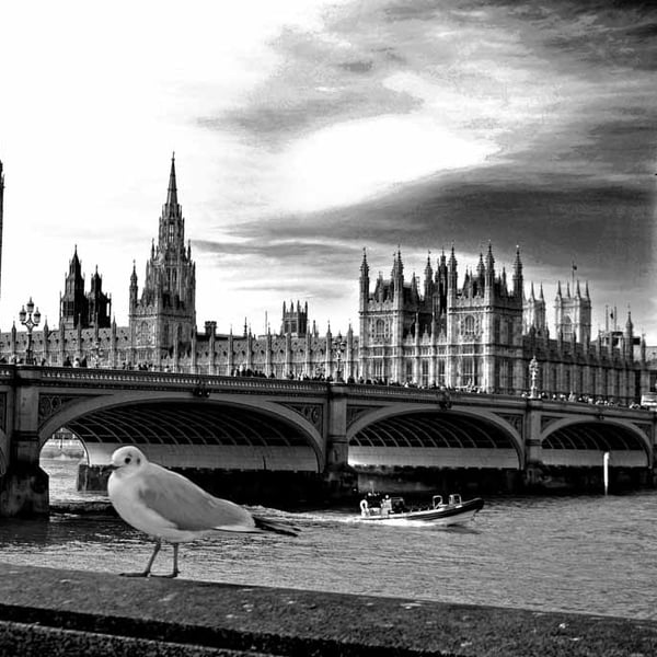 Big Ben Houses of Parliament Westminster Bridge London Photograph Print