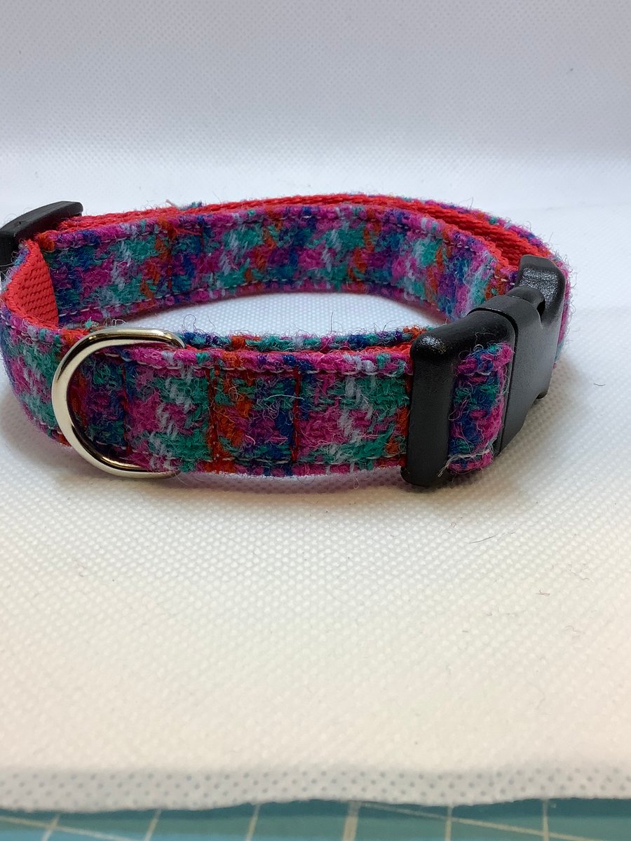 Bright  colour harris tweed dog collar