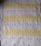 Dragonfly Baby Pram Blanket  - Image 3