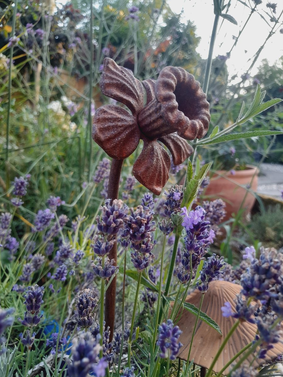 Handmade Rusty Metal Flower Garden Ornament Cottage Garden Plant Stake Daffodil