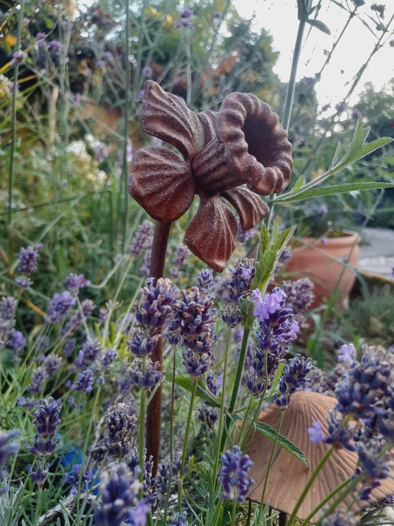 Handmade Rusty Metal Flower Garden Ornament Cottage Garden Plant Stake Daffodil
