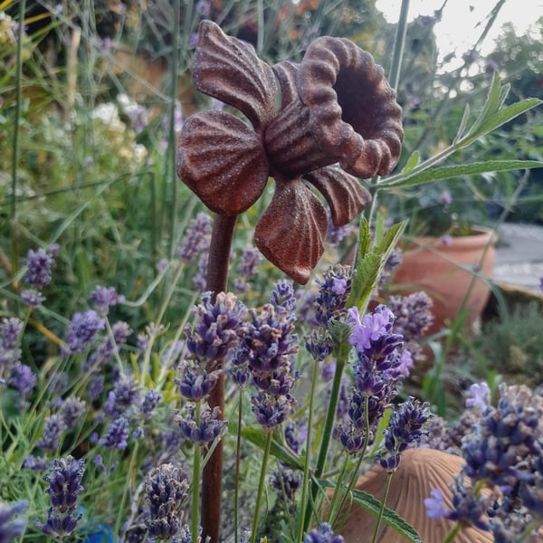 Handmade Rusty Metal Flower Garden Ornament Cottage Garden Plant Stake Daffodil
