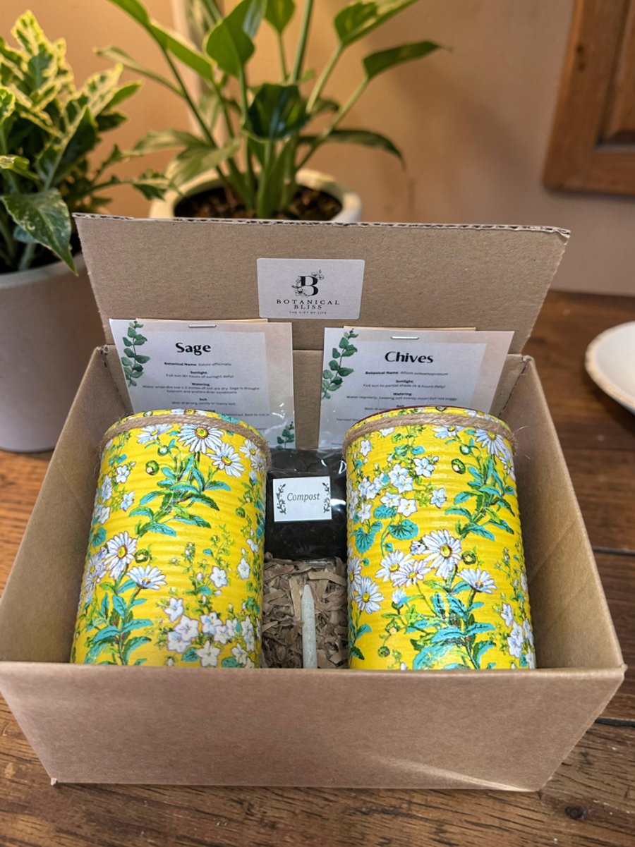 Ditsy Daisy Handmade Recycled Eco-Friendly Indoor Kitchen Herb Gift Set