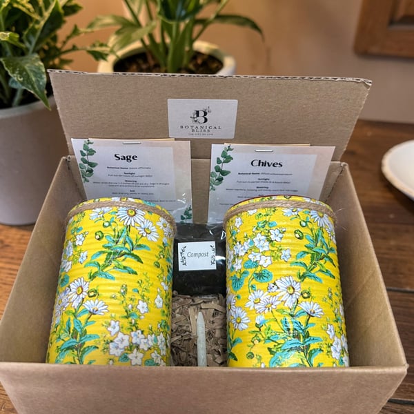 Ditsy Daisy Handmade Recycled Eco-Friendly Indoor Kitchen Herb Gift Set