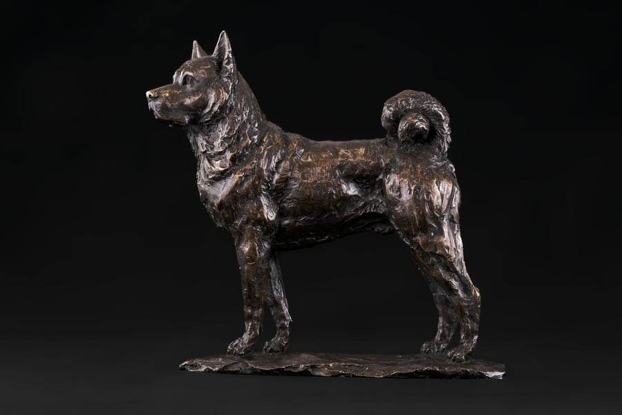 Foundry Bronze Standing Akita Animal Statue Small Bronze Metal Sculpture