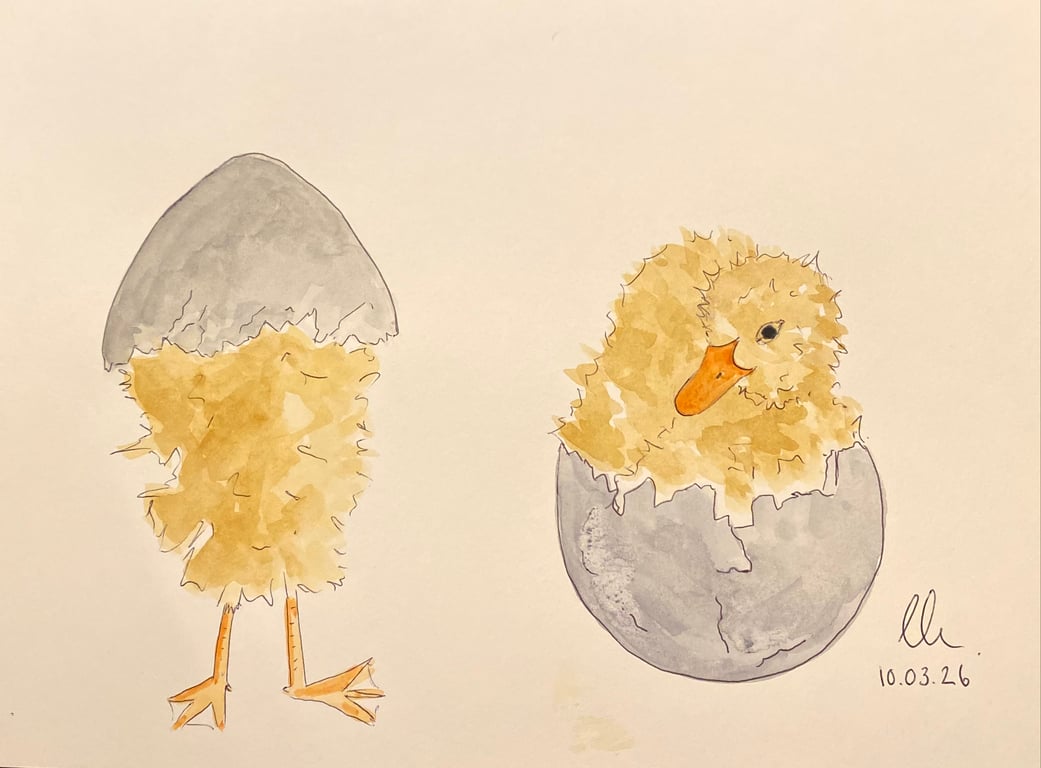 Duckling Antics 