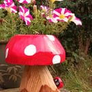 Red Toadstool with Ladybird