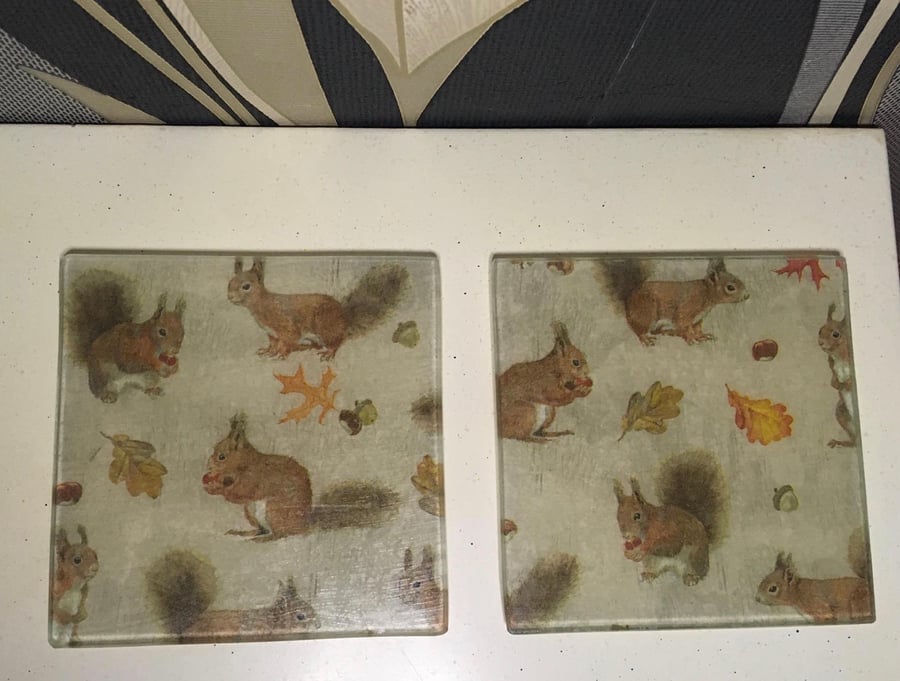 Squirrel glass coasters-set of 4
