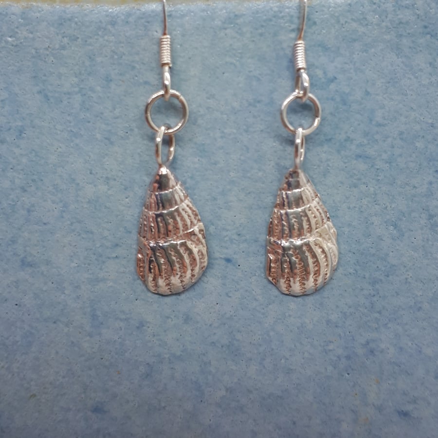 Fine silver whelk shell drop earrings