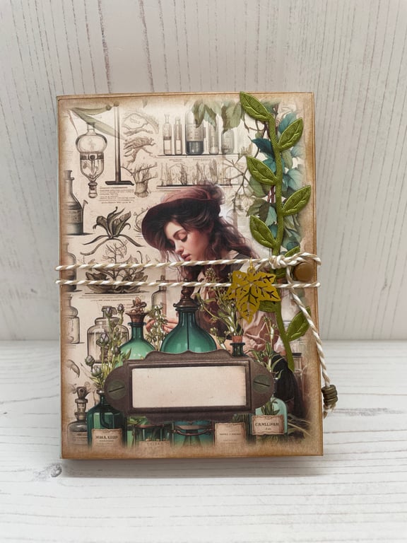 Curiosities - Apothecary Shelf Book by Carolee Crafts PB2 0030