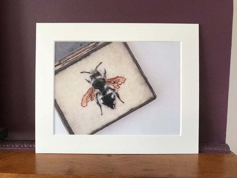 Bee Art - Print of the Common Mourning Bee - exhibition quality 