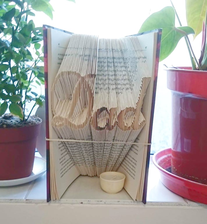 Dad MMF Book Folding Pattern - EMAILED PDF PATTERN