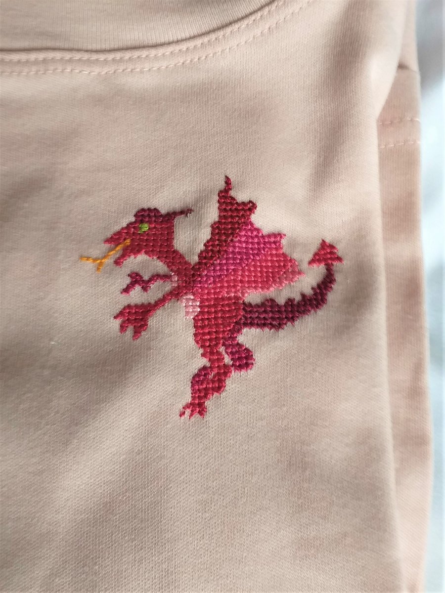 Dragon, Long-sleeve, T-shirt, age 6, hand embroidered