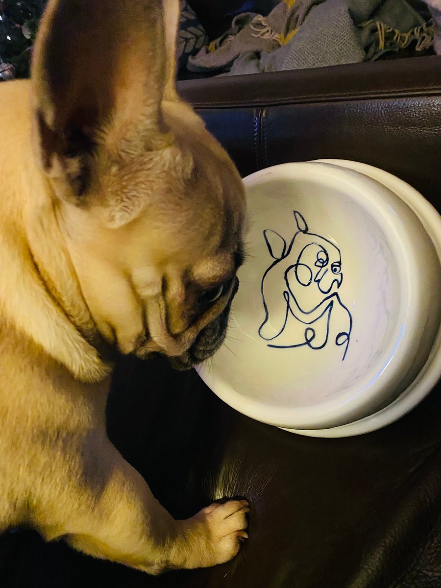 French bulldog dog bowl (Daphne not included)