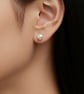 6mm Button Freshwater Pearl Sterling Silver Stud Earrings - Image 1