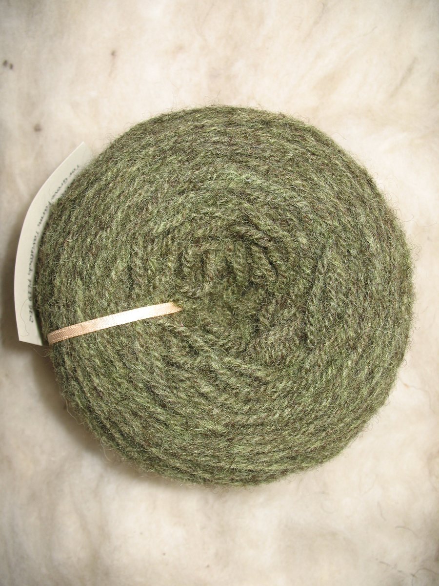 Hand-dyed Pure Jacob Light Aran Wool Oak Leaf 100g