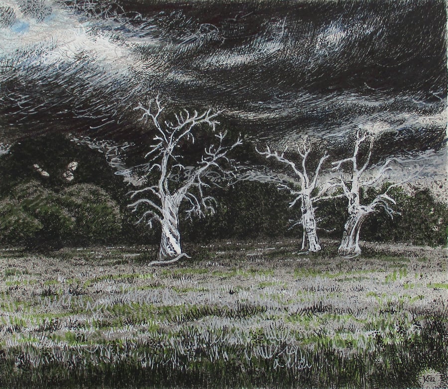 Storm Trees, Hanbury Hall - Watercolour with Pen and Ink