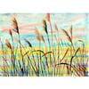 Small Landscape Original Watercolour Fen Reeds at Sunrise