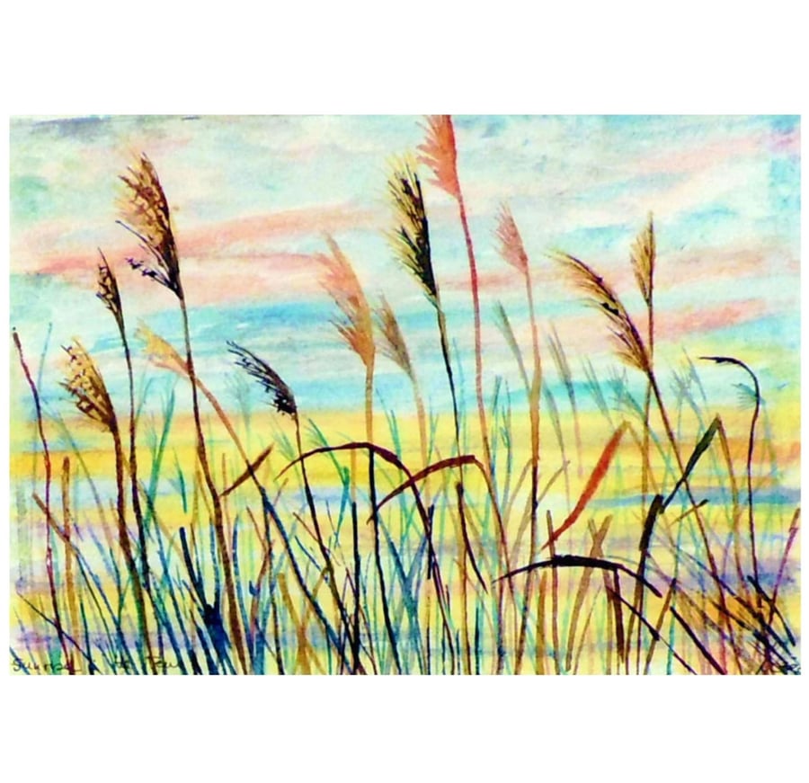 Small Landscape Original Watercolour Fen Reeds at Sunrise