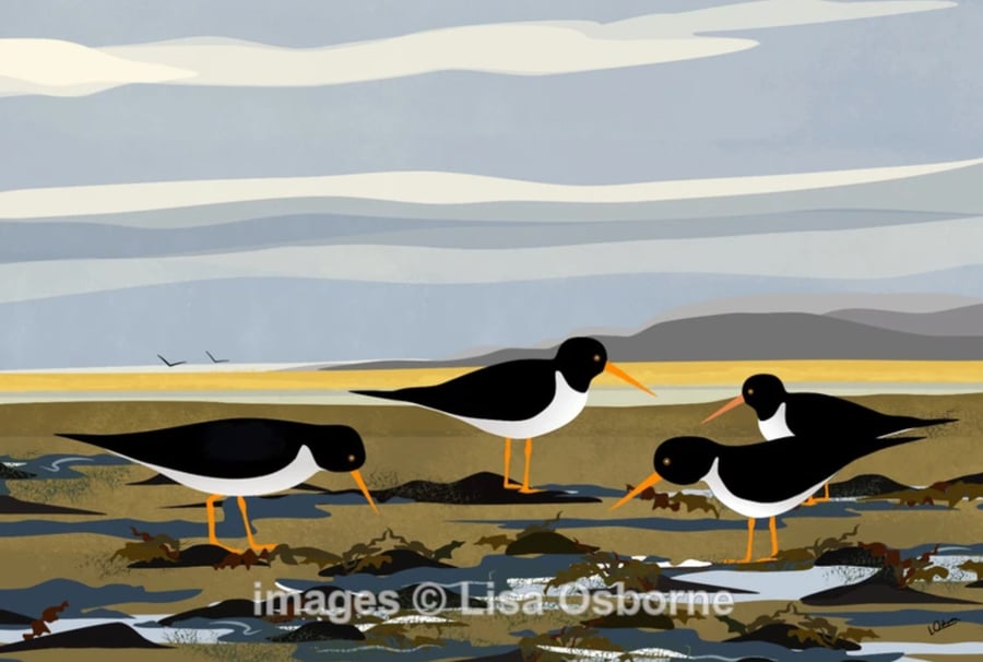 Oystercatchers at the shoreline - A5 signed print - bird illustration