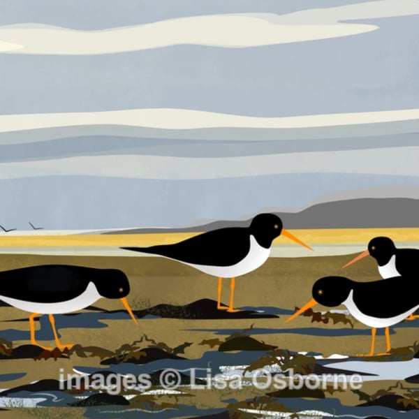 Oystercatchers at the shoreline - A5 signed print - bird illustration