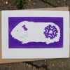 Christmas Card Guinea Pig