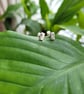 Tiny Rectangular Hammered Recycled Sterling Silver Stud Earrings - Image 6