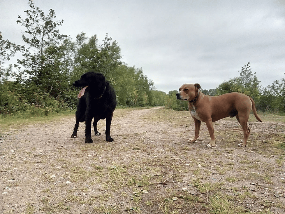 british leather craft