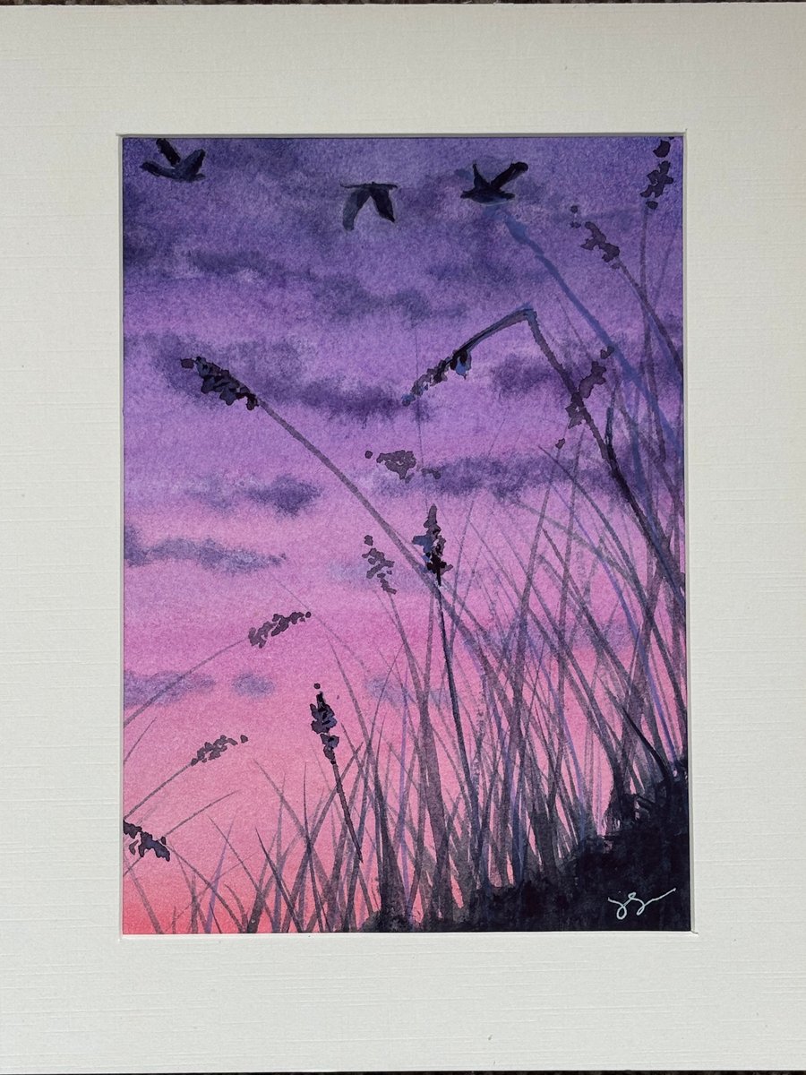 Sunset over the dunes