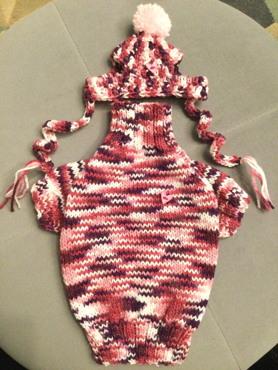 Small dog puppy sweater jumper coat 12”L 14”G hand knit (raglan sleeved)
