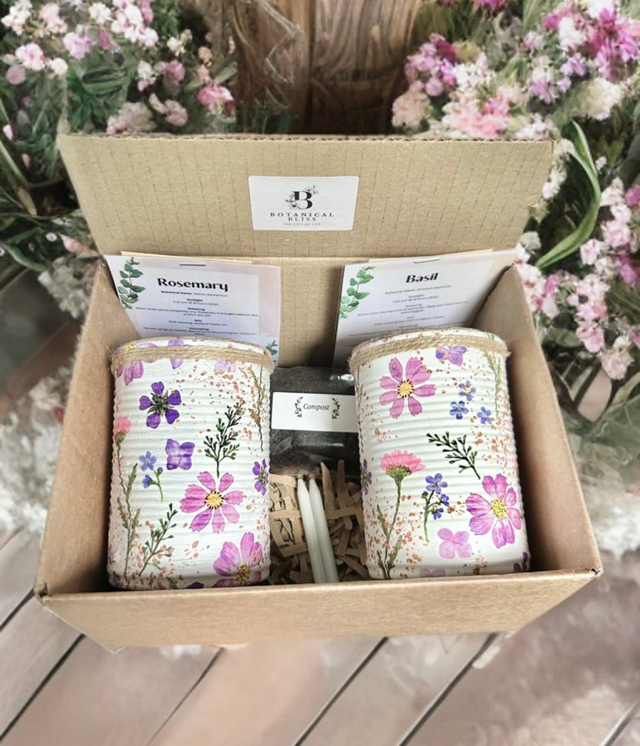 Lilac Meadow Handmade Recycled Eco Friendly Indoor Kitchen Herb Gift Set
