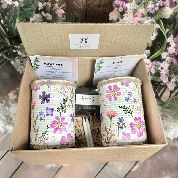 Lilac Meadow Handmade Recycled Eco Friendly Indoor Kitchen Herb Gift Set