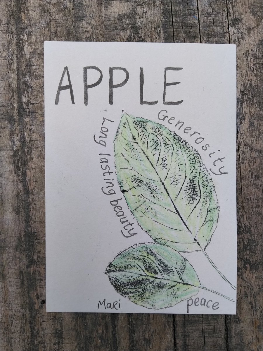 Apple floriography picture
