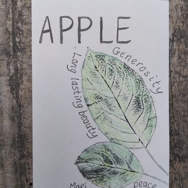 Apple floriography picture