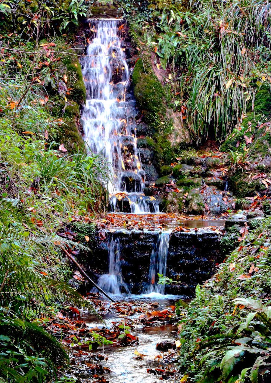Picture Ninesprings Waterfalls Yeovil Somerset Black and White or Colour print