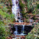 Picture Ninesprings Waterfalls Yeovil Somerset Black and White or Colour print