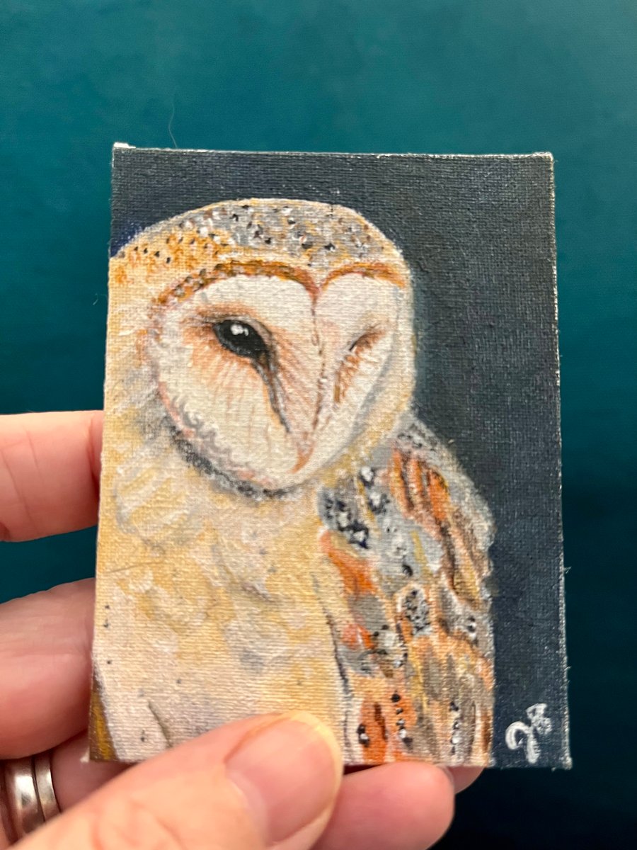  barn owl original painting