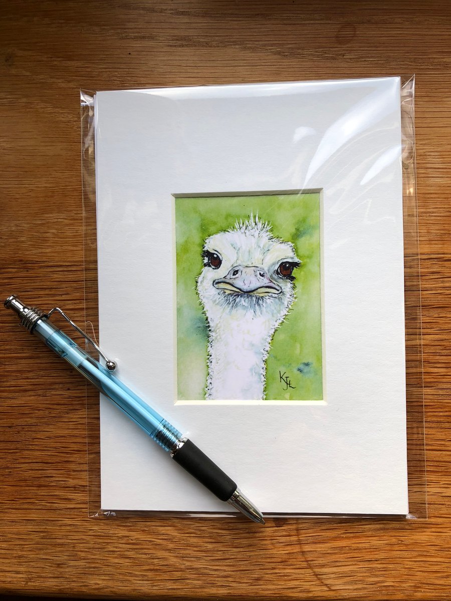 'Oswald Ostrich' Mounted print of miniature watercolour - FREE UK POST