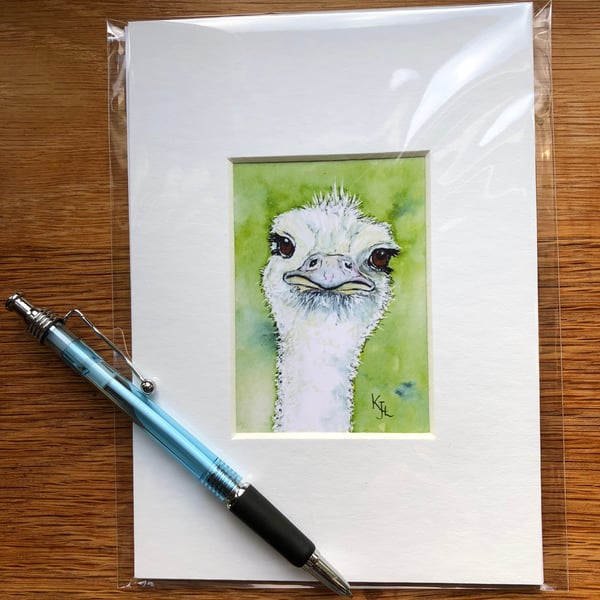 'Oswald Ostrich' Mounted print of miniature watercolour - FREE UK POST