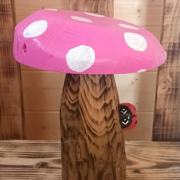 Ladybird on Pink Toadstool