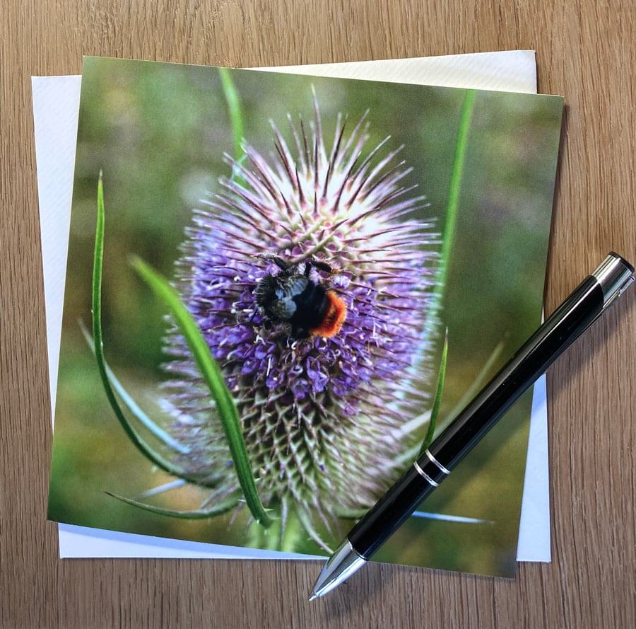 Card Bumble Bee Teasel