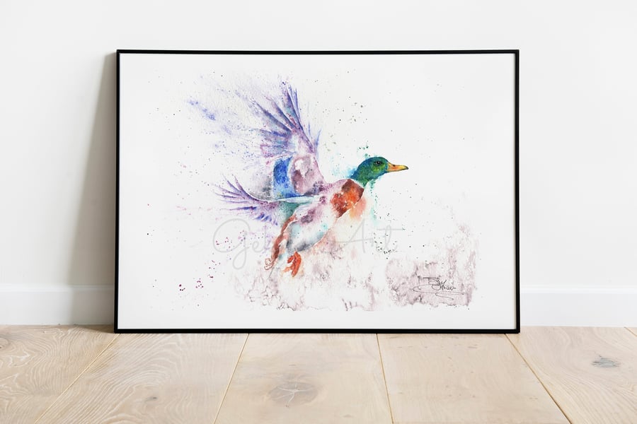 Frank the Duck Print, A Ltd Edition Fine Art Print from an Original Watercolour 