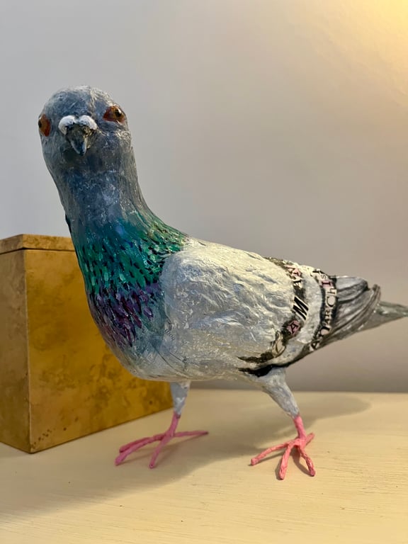 Papier maché ‘punk’ pigeon, bird sculpture original art work