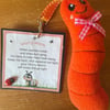 Homemade  Worry Worms send asd, semh , communication aid 