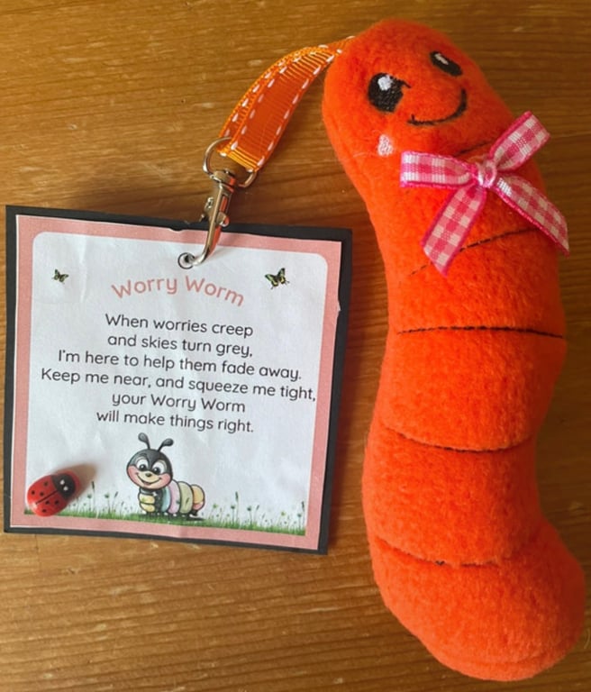 Homemade  Worry Worms send asd, semh , communication aid 