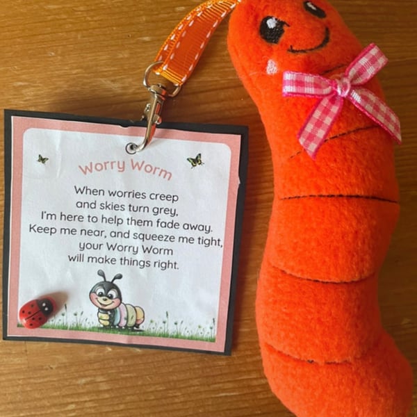 Homemade  Worry Worms send asd, semh , communication aid 